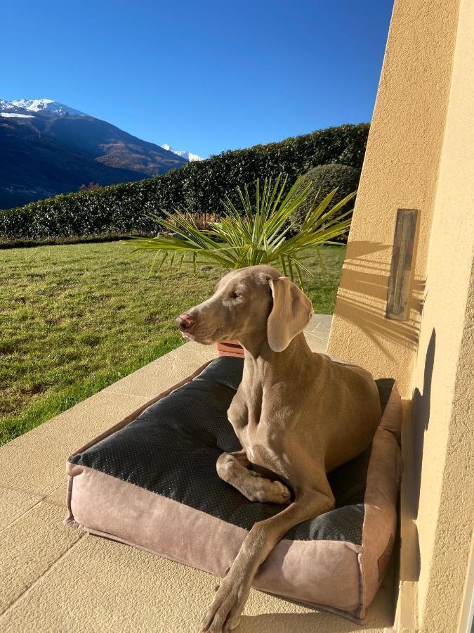 Design & Mountain View Bedroom Aosta Dış mekan fotoğraf